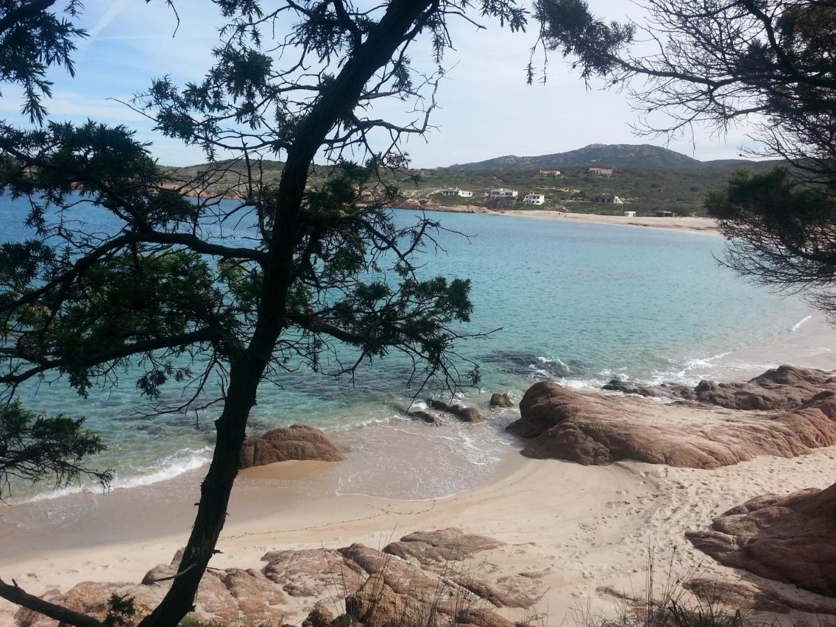Fronte Mare Attico Indipendente Ed Esclusivo Con Terrazza Panoramica Apartman Isola Rossa Kültér fotó